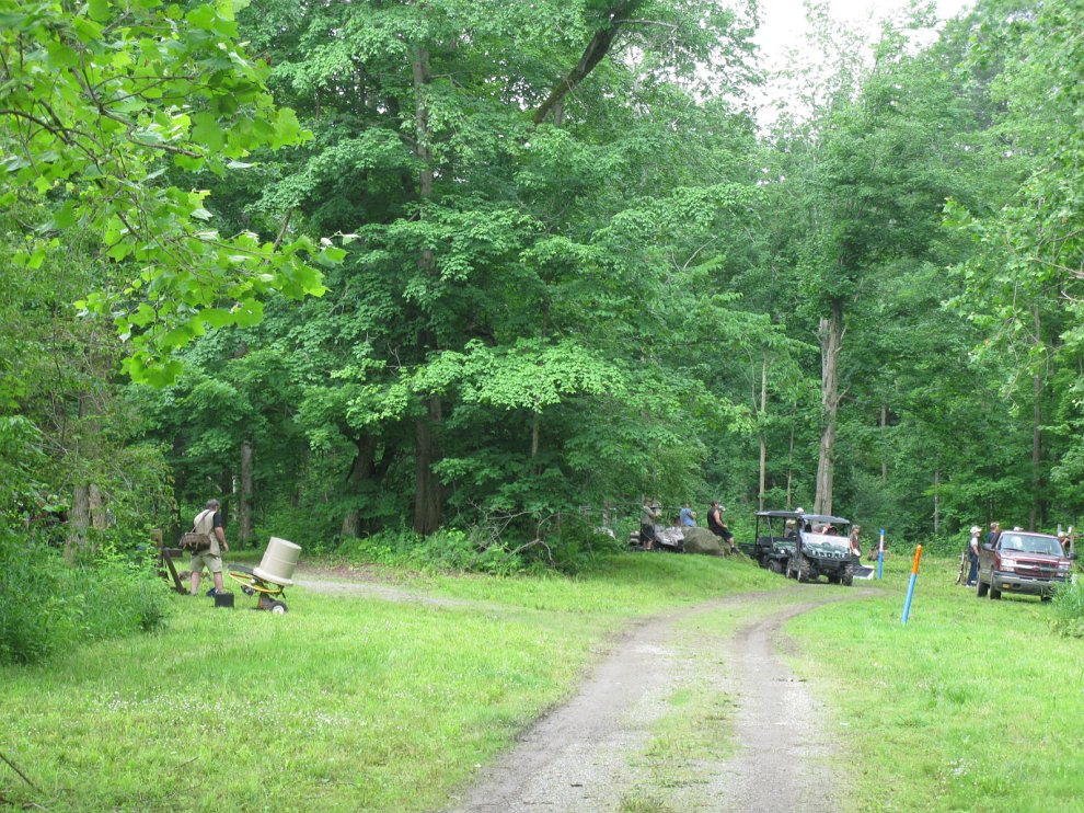 CritterPath 028.jpg